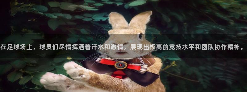 MK体育官方正版app神州:在足球场上,球员们尽情挥洒着汗水