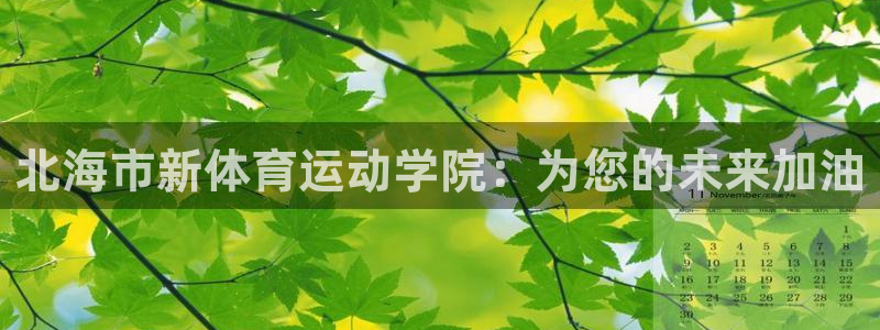 MK体育官方集团官网:北海市新体育运动学院:为您的未来加油