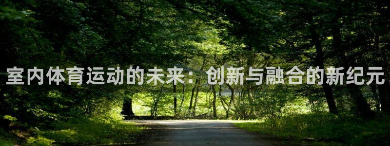 MK体育官方集团官网:室内体育运动的未来:创新与融合的新纪元